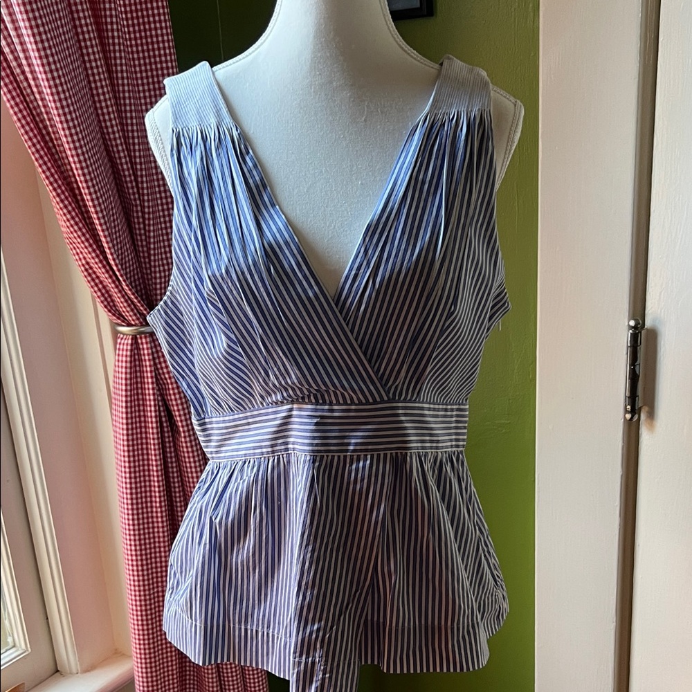 Banana Republic Striped Blue and White Cotton Sleeveless Blouse